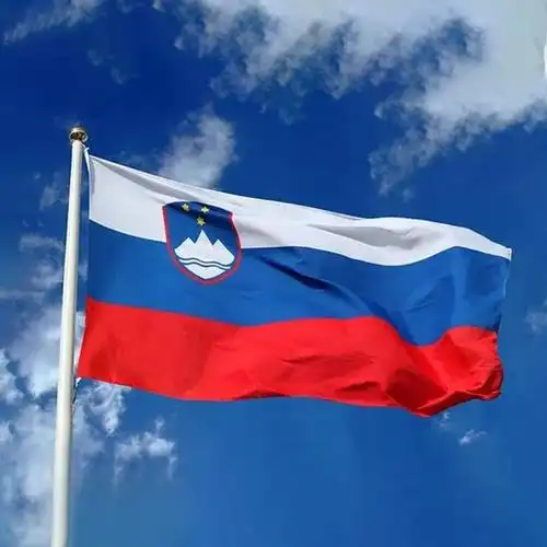 Overview of Investment in Slovenia